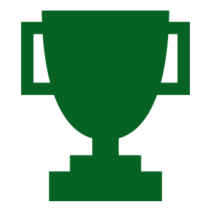 Green quality icon